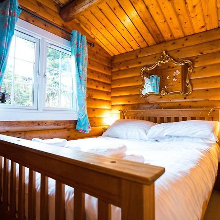 Woodpecker 3 Bedroom Trawsfyndd Holiday Village - Hosted By Seren Property Trawsfynydd Екстер'єр фото